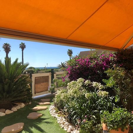 Le Jardin De La Plage - T2 - Terrasse Jardin 30M2 - Piscine - Clim- Wifi -Parking Canet-en-Roussillon Kültér fotó